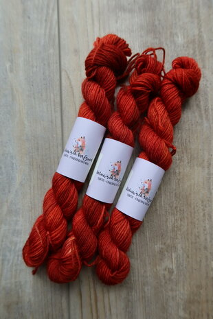 Veluwsch Verfgoed Sock mini - the gnome and the echopit