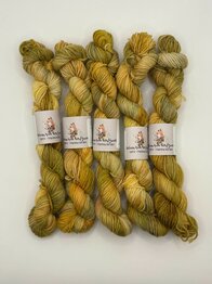 Veluwsch Verfgoed Sock mini  - Veluwsche flock of sheep