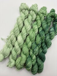 Veluwsch Verfgoed DK mini fade set  - color wild fern
