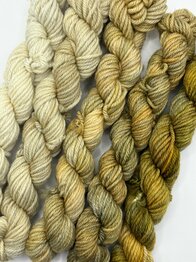 Veluwsch Verfgoed DK mini fade set  - color Sprokkelhout