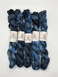 Veluwsch Verfgoed DK mini - het Solse Gat