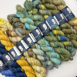 Veluwsch Verfgoed DK mini - Van gogh color palette